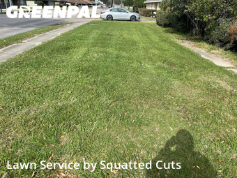 Yard Cutting nearby Lafayette, LA, 