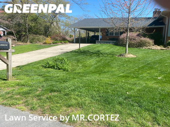 Lawn Maintenance nearby Silver Spring, MD, 