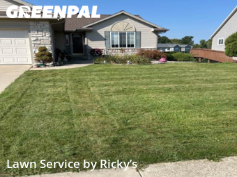 Yard Mowing nearby Grand Rapids, MI, 