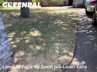 Lawn Cut nearby Arlington, TX, 