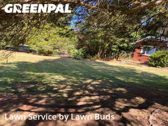 Lawn Maintenance nearby Charlotte, NC, 