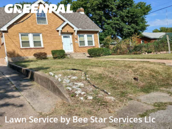 Lawn Mowing Servicein Affton,63123,Lawn Cut by Bee Star Services Llc, work completed in Dec , 2025