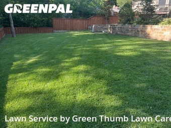 Lawn mowed in Rockwall, 75087