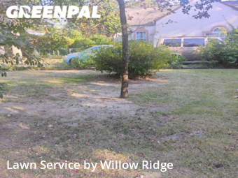 Lawn Maintenance nearby Augusta, GA, 