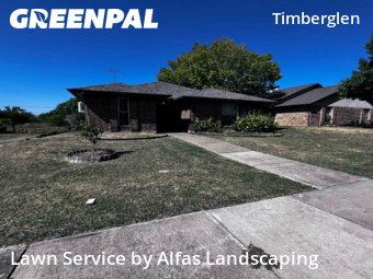 Lawn Cuttingin Dallas,75287,Lawn Care Service by Alfas Landscaping, work completed in Nov , 2025