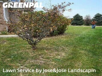 Lawn Mowing nearby Joliet, IL, 