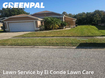 Grass Cutting nearby Orlando, FL, 