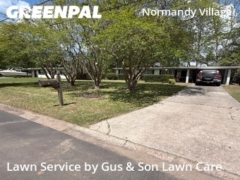 Grass Cut nearby Jacksonville, FL, 