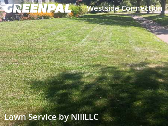 Grass Cut nearby Grand Rapids, MI, 