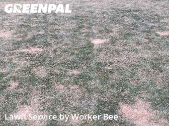 Yard Mowing nearby Centennial, CO, 