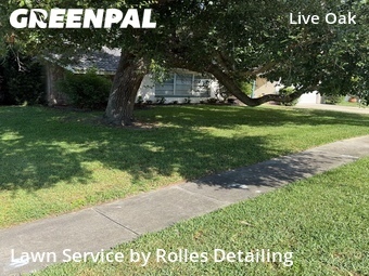 Lawn Care Service nearby Clearwater, FL, 