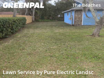Lawn Servicein Jacksonville Beach,32250,Lawn Mow by Pure Electric Landsc, work completed in Feb , 2026