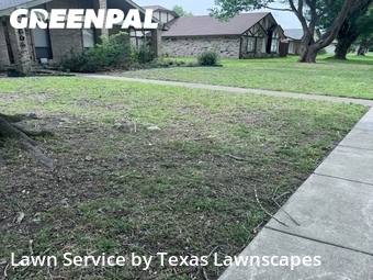 Grass Cut nearby Richardson, TX, 
