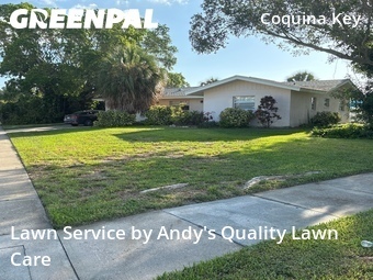 Lawn Care Service nearby St. Petersburg, FL, 