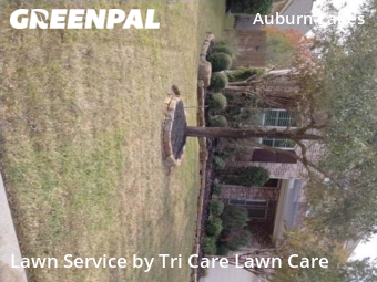 Lawn Cutting nearby Spring, TX, 