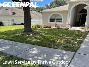 Lawn Cut nearby Spring Hill, FL, 