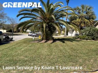 Lawn Maintenance nearby Jacksonville, FL, 