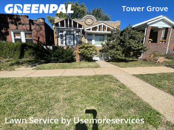 Lawn Cutting nearby St. Louis, MO, 