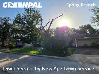 Lawn Care nearby Houston, TX, 