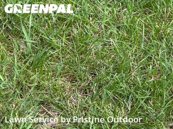Lawn Care nearby Bloomfield Hills, MI, 