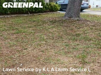 Yard Cutting nearby Largo, FL, 
