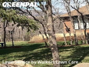 Lawn Mow nearby Colorado Springs, CO, 