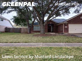 Lawn Cut nearby Sugar Land, TX, 