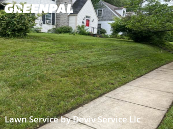 Lawn Mowing in University Park, 20782, Grass Services by Deviv Service Llc, work completed in Oct , 2025
