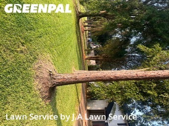 Lawn Cuttingin Pasadena,77504,Grass Cut by J.A Lawn Service, work completed in Nov , 2025