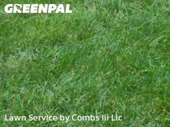 Lawn Cutting nearby Cincinnati, OH, 