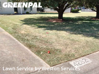 Lawn Care nearby Bessemer, AL, 