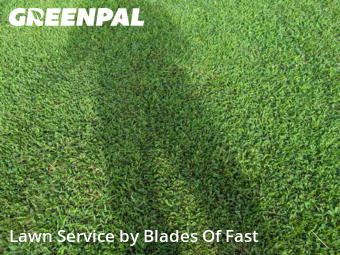 Lawn Care nearby Fairburn, GA, 