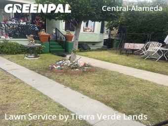 Work completed by residential-lawn-cutting-businesses-in in Los Angeles, CA
