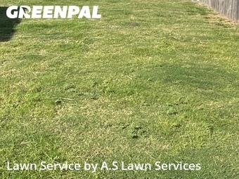 Lawn Cut nearby Cibolo, TX, 