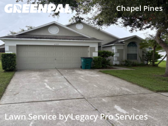 Lawn Care Service nearby Wesley Chapel, FL, 