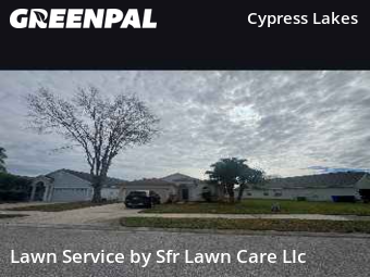 Grass Cutin Oldsmar,34677,Yard Mowing by Sfr Lawn Care Llc, work completed in Dec , 2025