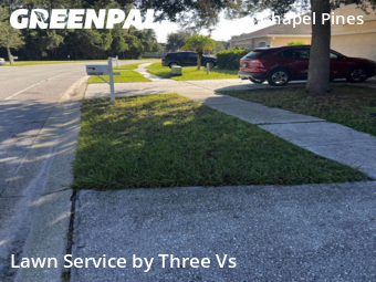 Lawn Mowin Wesley Chapel,33545,Grass Cut by Three Vs , work completed in Nov , 2025