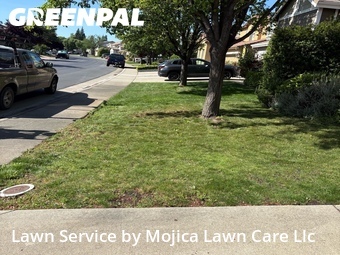 Work completed by grass-care-professionals-in-Rocklin-CA
