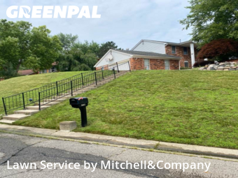 Yard Maintenance in West Bloomfield Township, 48323, Backyard Mowing by Mitchell&Company, work completed in Dec , 2025