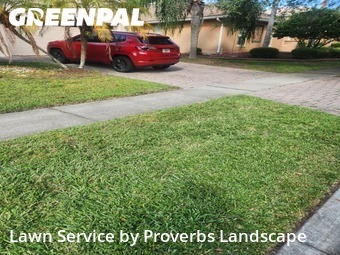 Lawn Carein Kissimmee,34746,Lawn Mowing Service by Proverbs Landscape, work completed in Nov , 2025