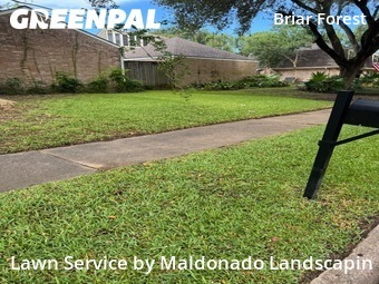 Grass Cut nearby Houston, TX, 