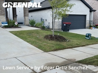 Grass Cut nearby Mc Kinney, TX, 