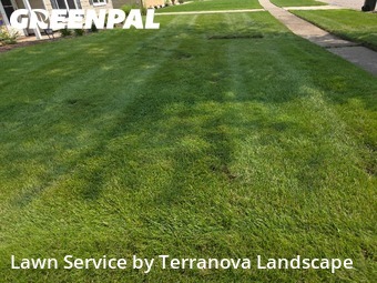 Lawn Work in Woodridge, 60517, Yard Cutting by Terranova Landscape, work completed in Aug , 2025
