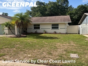 Lawn Cut nearby Palm Harbor, FL, 