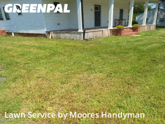 Turf Services in Magnolia, 19962, Weed Trimming by Moores Handyman, work completed in Nov , 2025