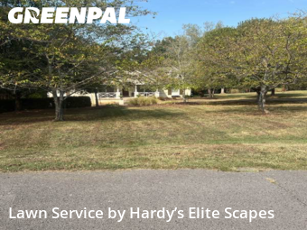 Grass Cutin Hendersonville,37075,Grass Cutting by Hardy’s Elite Scapes, work completed in Nov , 2025