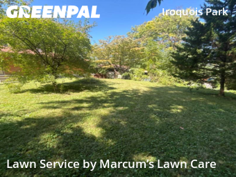 Yard Cutting nearby Louisville, KY, 