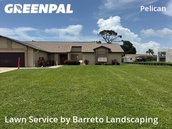 Lawn Cut nearby Cape Coral, FL, 