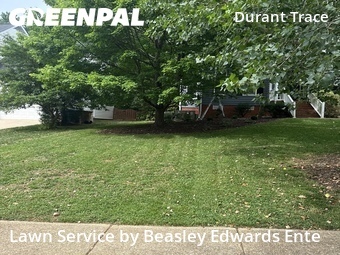 Grass Cutting nearby Raleigh, NC, 