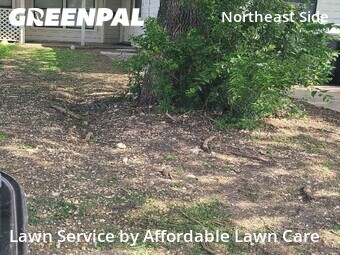 Yard Cutting nearby San Antonio, TX, 